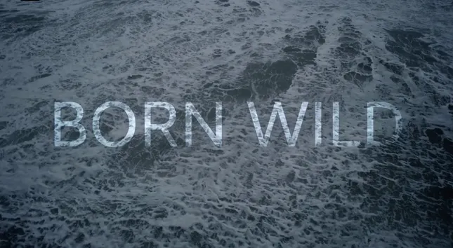 Born Wild