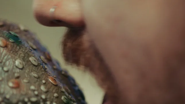 TDWP - "Flowers" Short Film