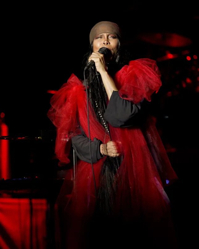 ERYKAH BADU FOR AFROPUNK
