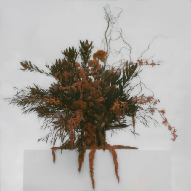 Puma x Stargirls Valentine’s dinner