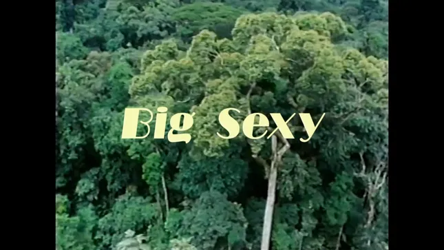Jackie Moontan - BIG SEXY