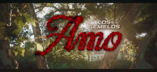 Los Gemelos de Sinaloa- Amo