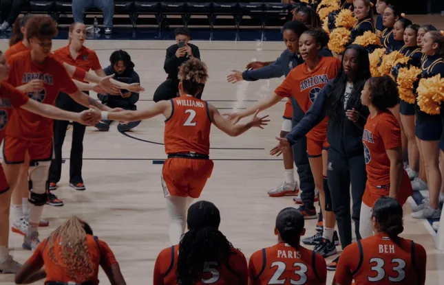 Arizona vs UCSD