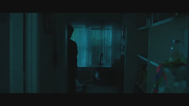Damien Jurado -- Silver Joy