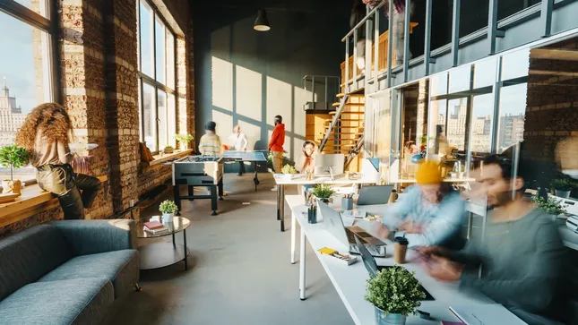 Plumcat Studios