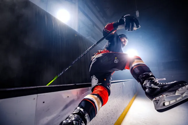 Anaheim Ducks Player Portraits