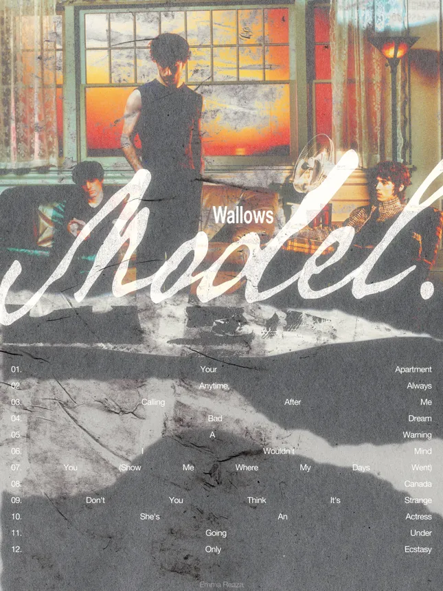 Wallows 'Model' Album Poster Concept