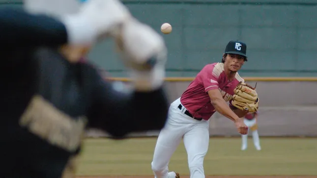 Dicks Sporting Goods Baseball 2024