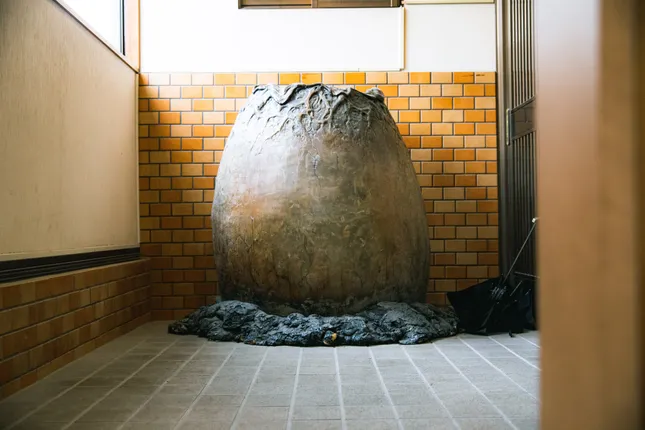 Project image