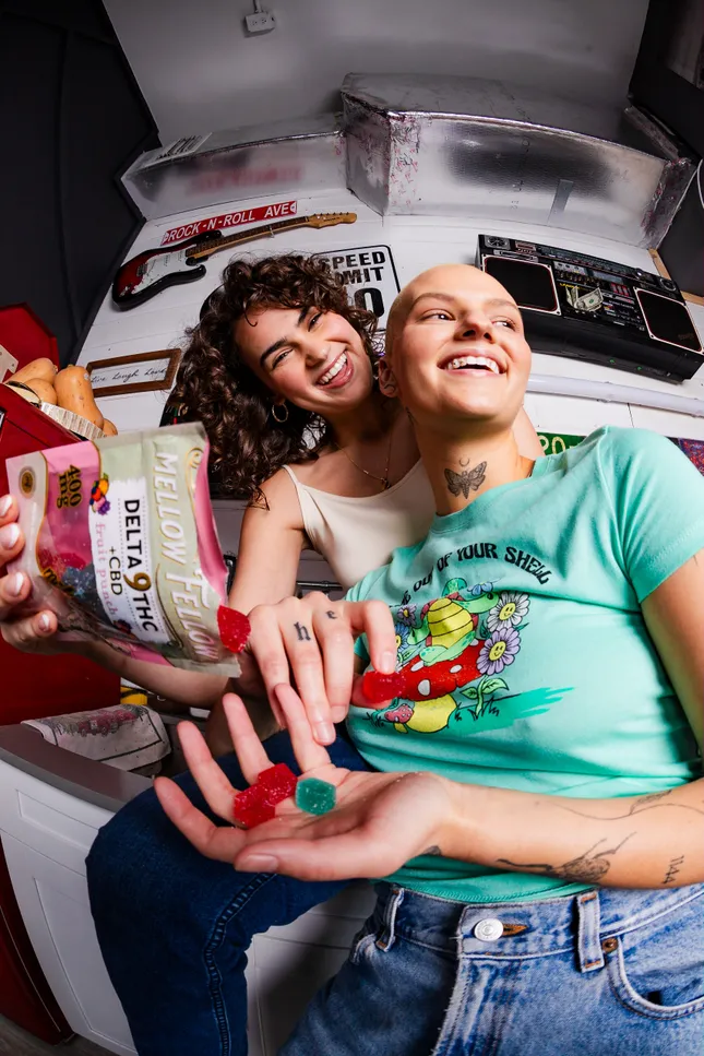 Mellow Fellow Campaign 2023