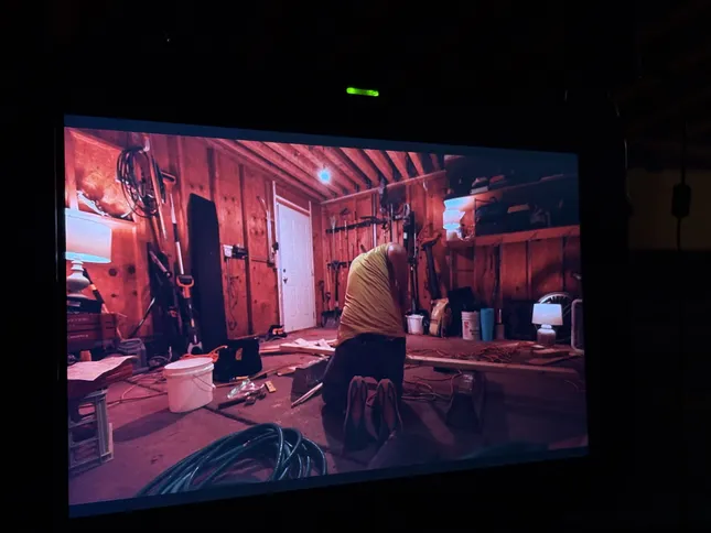 Fish Is Dog Spelled Backwards