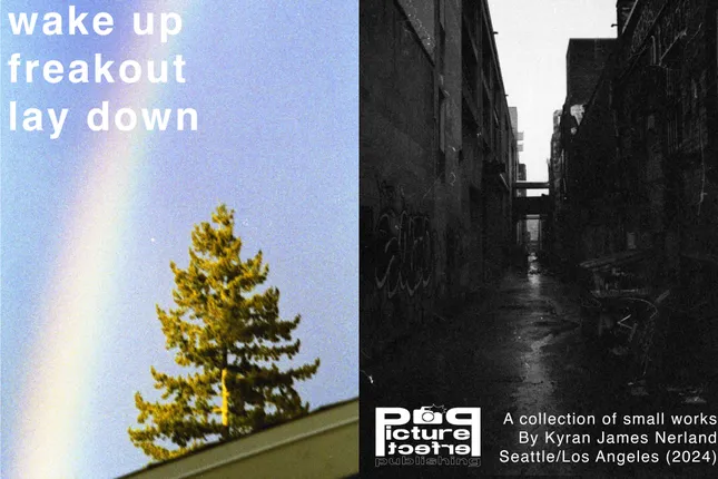“wake up/freakout/lay down” photo series