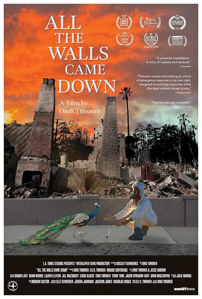 All the Walls Came Down