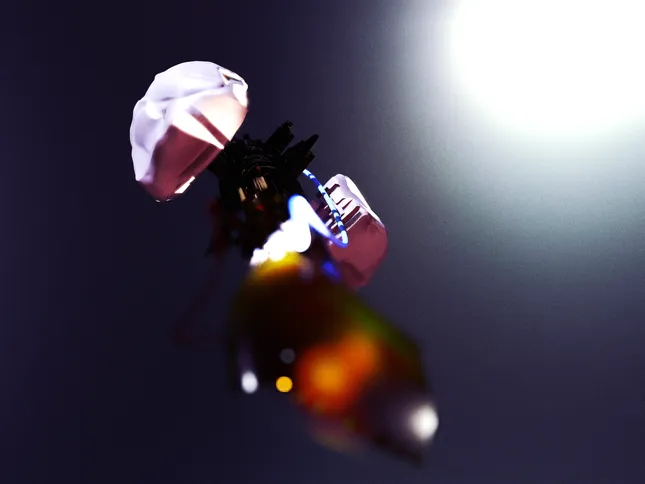 Project image