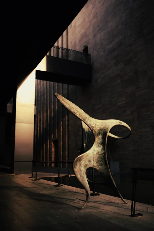 Project image
