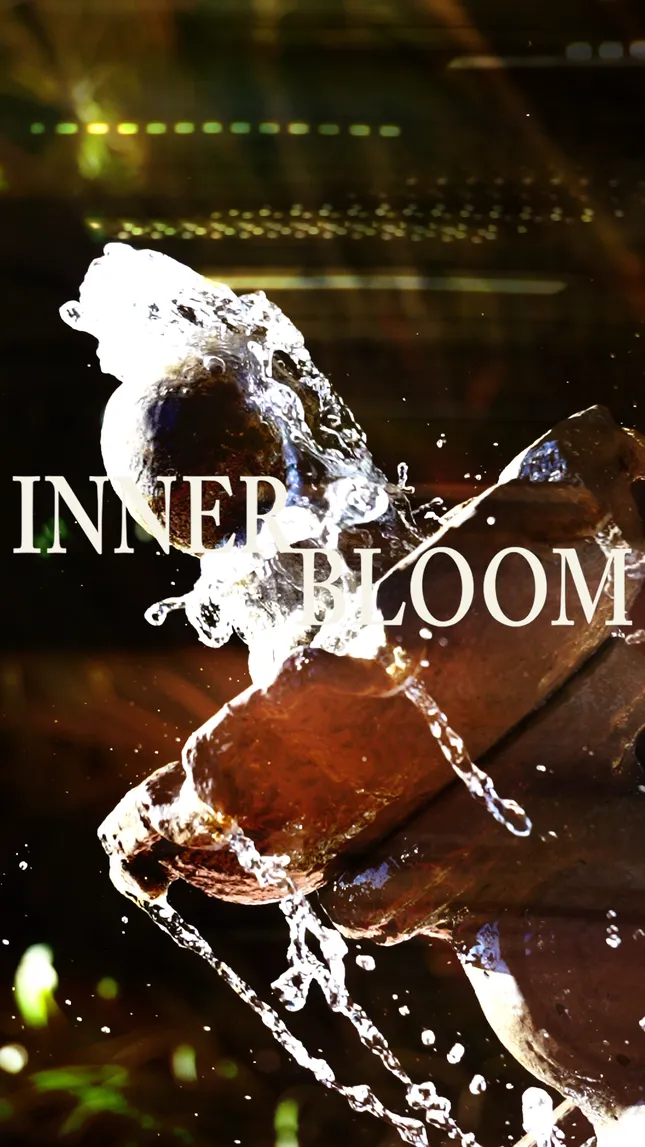 Innerbloom Presents - Recap [photo/video]