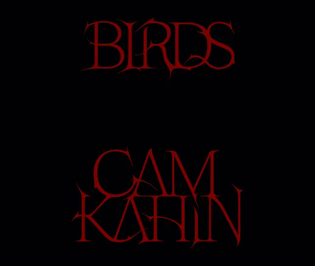 Title Design for Cam Kahin 'Birds' Music Video