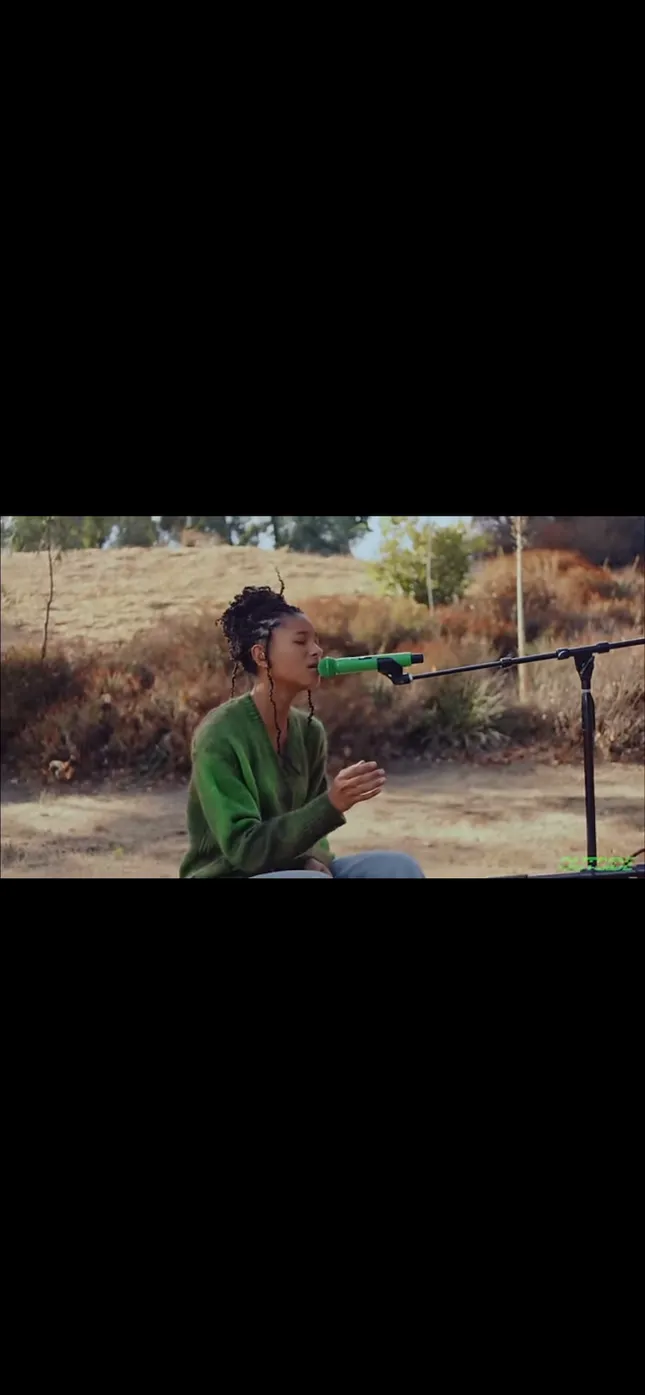 Willow Spotify Outside