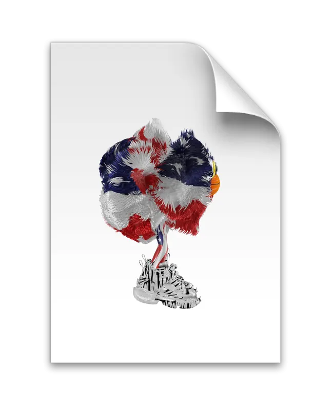 Project image