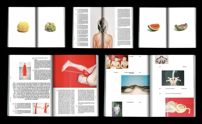 Ren Hang:PostScript