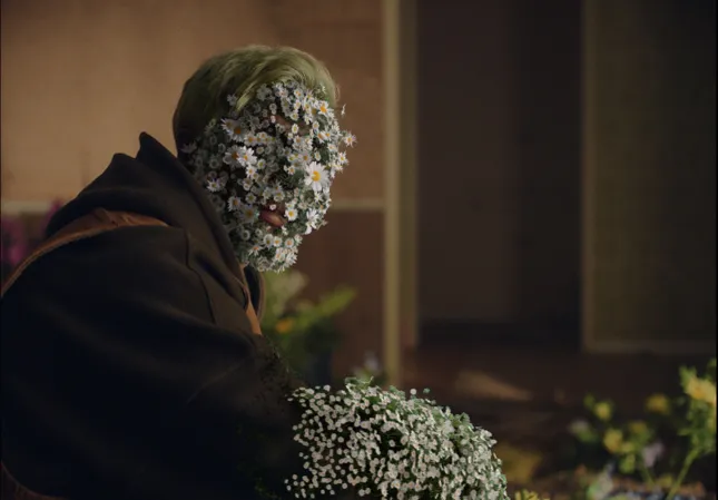 Ryan Caraveo - Daisies