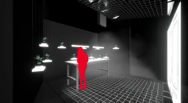 Project image
