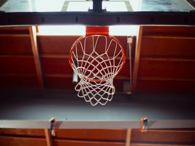 Ditto Ai - Launch Commercial