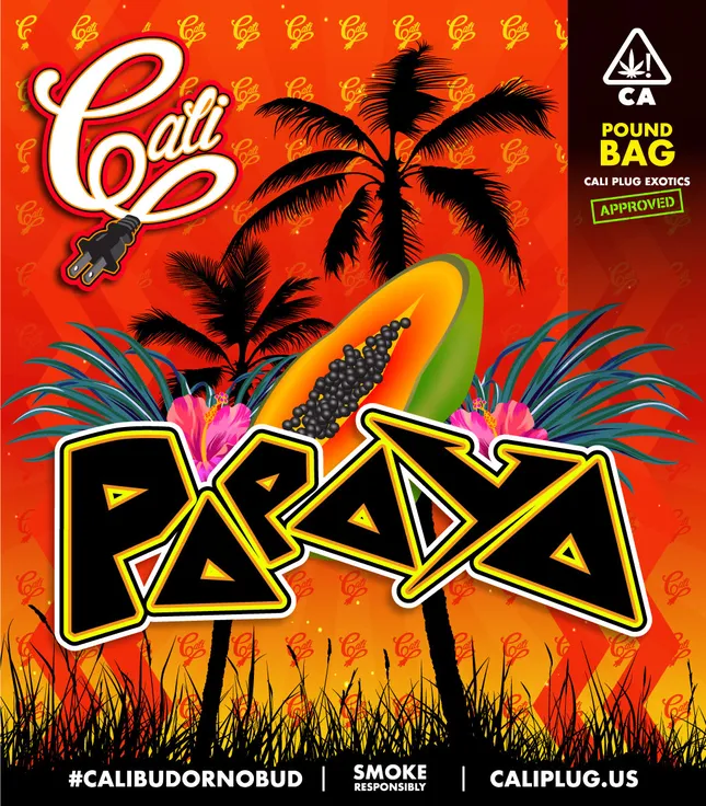 Design: Cali Plug