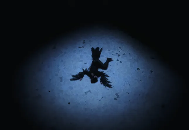 Project image