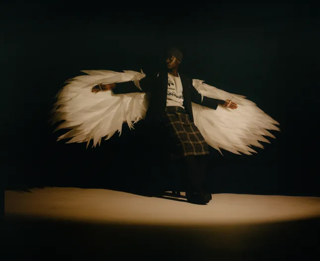 Fallen Angel