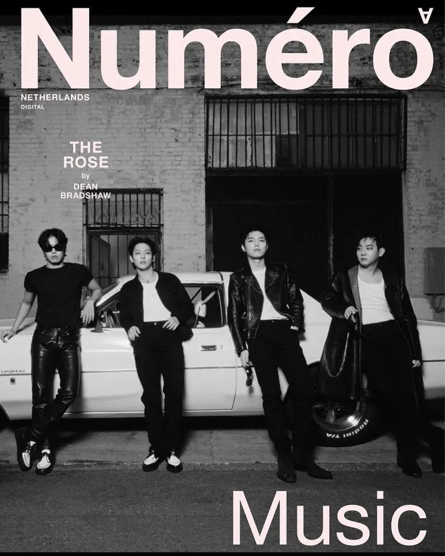 Numero Netherlands - The Rose
