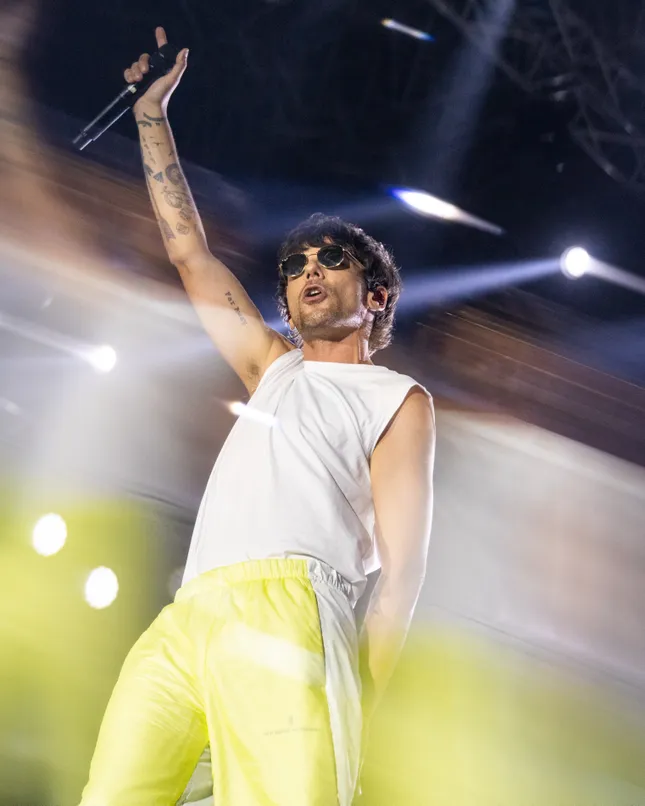 Louis Tomlinson at Lollapalooza India