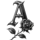 AV  Avatar