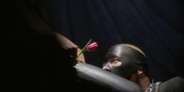 Two Tulips // Trailer