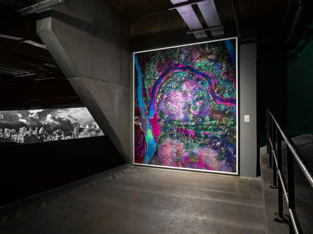 Richard Mosse - Broken Spectre