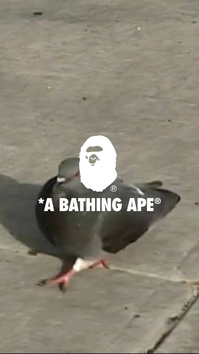 Bape x KidSuper