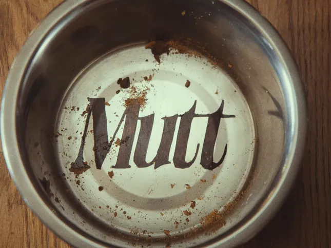 Leon Thomas | MUTT Visualizers