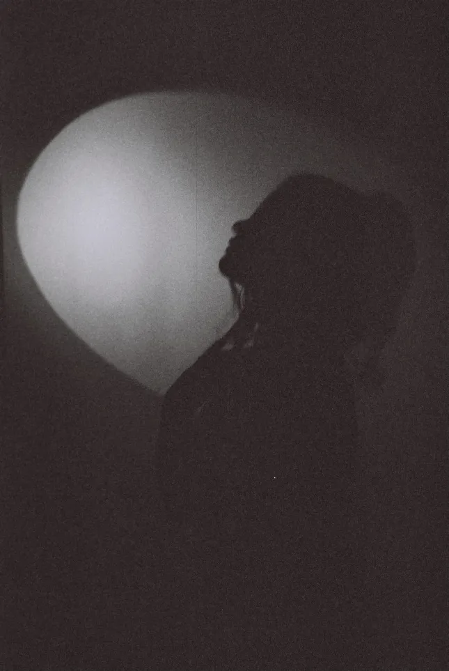 B&W expedient w/ Nomi
