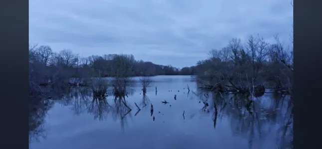 French Documentary