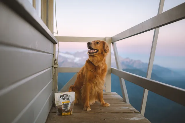 Purina Prime Bones Instagram Campaign