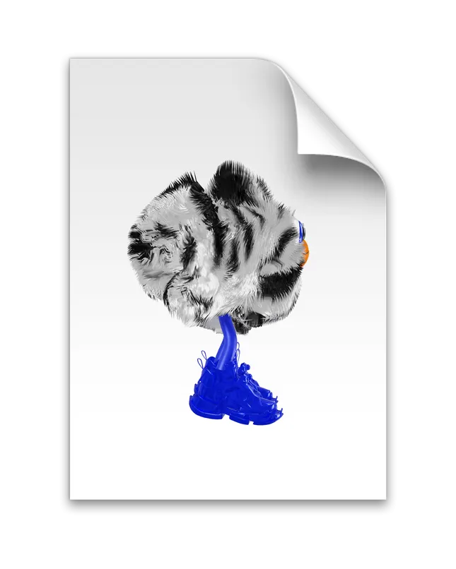 Project image