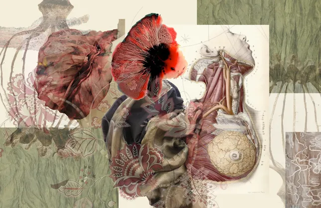 Concept Art