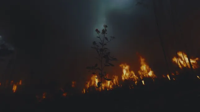 chaos