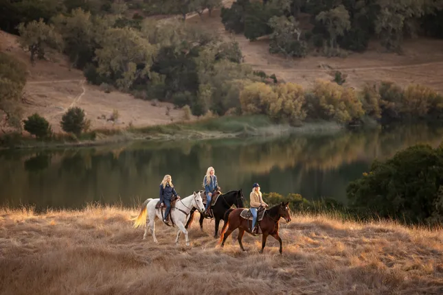 The Castellows x Farnam