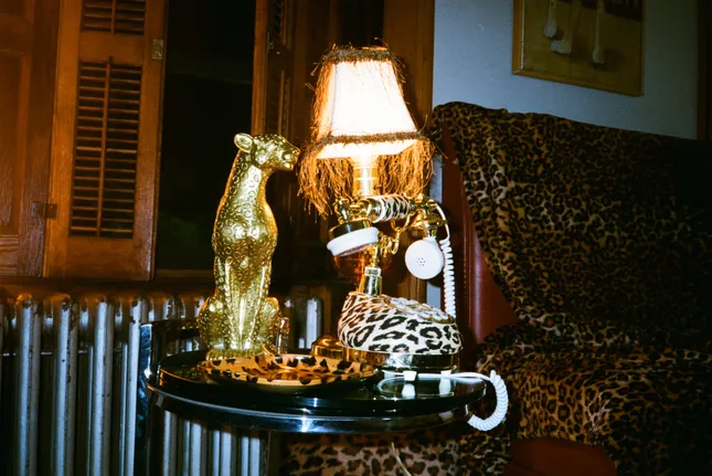 Project image