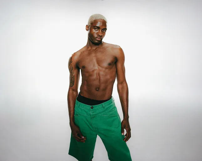 Model