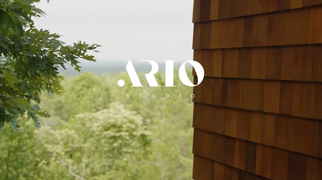 Ario Studio