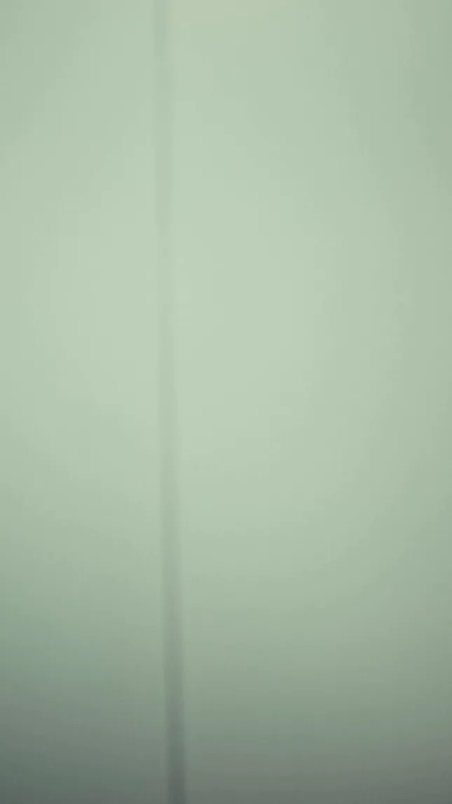 Stolen arts campaign