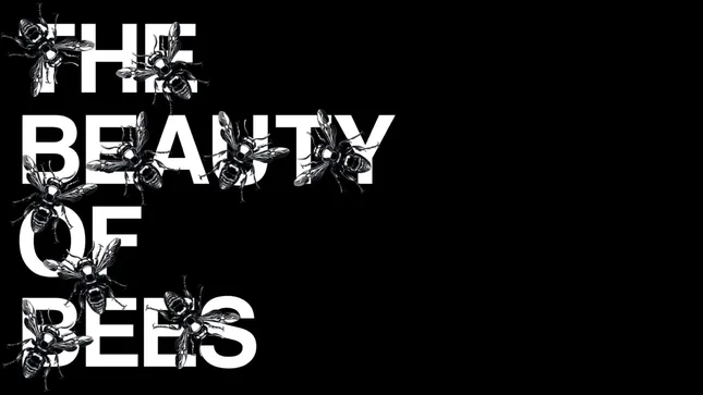 The Beauty of Bees - Editorial Brochure