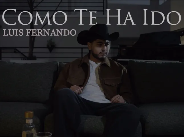 Como Te Ha Ido - Luis Fernando music video